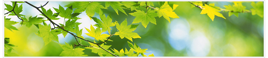 Masterservice ecolog�a e impresi�n