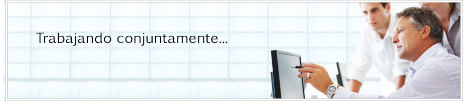 Masterservice programa de Partnership