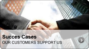 Masterservice success cases